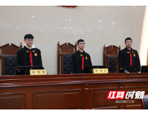 【宪法宣传周】法学生走进岳阳法院 刷新选择法学的初心