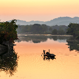 永州东安：湿地晨曦美如画（图）