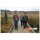 邵东：跟着河长去巡河