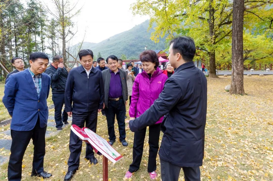 黄兰香一行先后来到“同心美丽乡村”双牌县茶林镇桐子坳村和冷水滩区上岭桥镇仁山村调研，对两地凝聚统战力量，助推乡村振兴给予了充分肯定。