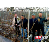 新邵陈家坊镇刘什坝村致富带头人赴南昌参观学习无花果种植新技术