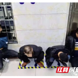 大祥公安分局成功抓获入室盗窃团伙