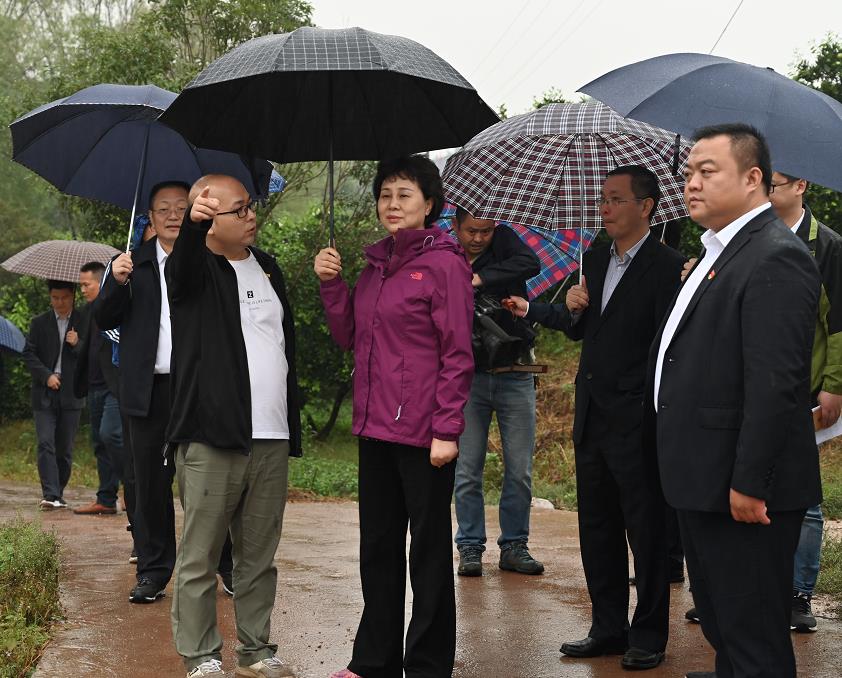 “党的民族政策落实得怎样”“还有多少贫困户没有脱贫”……在吕家坪镇吕家坪社区，黄兰香实地考察了民族团结进步工作情况，同社区工作人员进行深入交流。她对吕家坪社区民族团结进步工作给予肯定，嘱咐当地党委政府既要带领老百姓继续搞好发展，致富奔小康，又要维护好各民族的大团结，让各民族互相支持，共同发展。