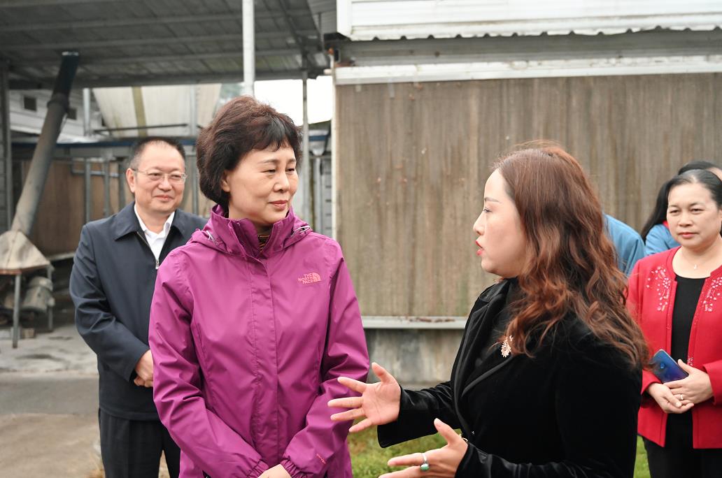 10月22日，省委常委、省委统战部部长黄兰香赴怀化调研基层统战工作。省政协副主席、怀化市委书记彭国甫参加调研。