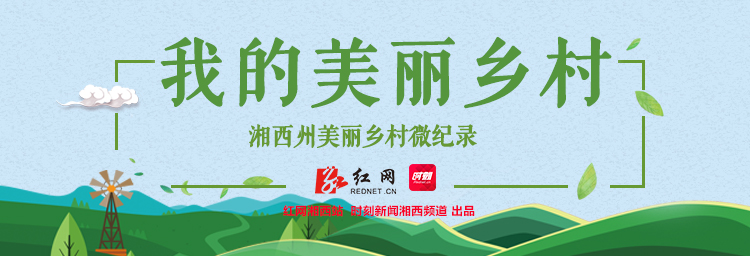 ??????banner.jpg ??????banner.jpg