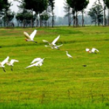 不搞“一刀切” 湖南出台环境问题验收销号工作机制及行业标准