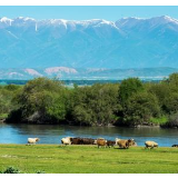 新疆学界:“法案”罔顾真相 “以疆制华”图谋必将失败