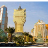 “一国两制”成功实践让澳门“枝荣叶茂”