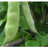 云南多地因加工不当东北油豆出现中毒事件，卫健委发警示