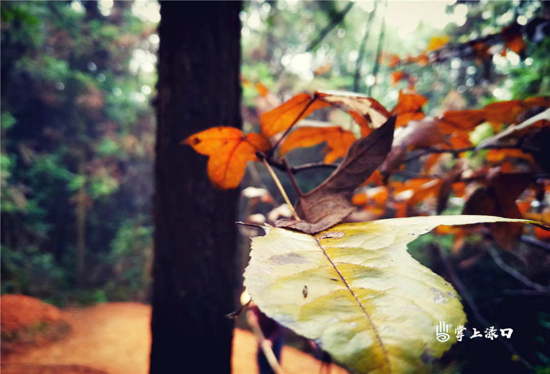 【图：文可 文：刘慧】 在春天来临之前，尽力抖落季节轮回的痕迹。