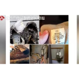 提醒丨家长注意了！孩子爱穿的这种鞋竟然在家着火了