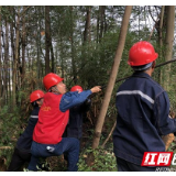 天干物燥山火易发 邵阳电力展开防山火特巡
