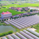 决胜2020丨湘潭市雨湖区：决战决胜脱贫攻坚