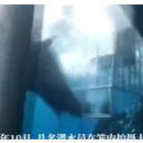 视频丨惊险瞬间！鲨鱼攻击潜水员 被卡铁笼丧命