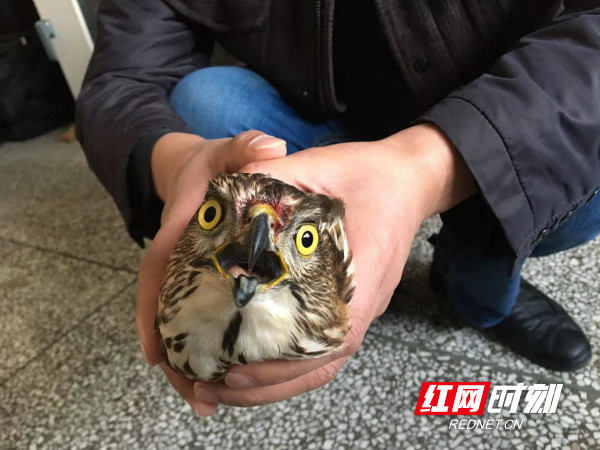WechatIMG1437_meitu_3.jpg
