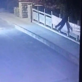杭州一女孩夜晚翻桥面护栏落河，途经小伙跳河营救两人均遇难