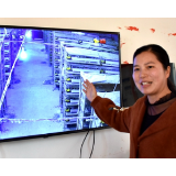 乡村追梦人⑥|董丽婷:这个湘乡姑娘背井离乡,只为做好一颗蛋