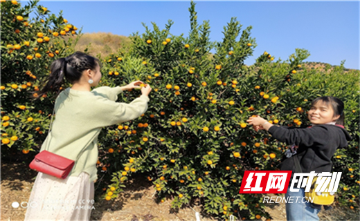 图片3.png 图片3.png