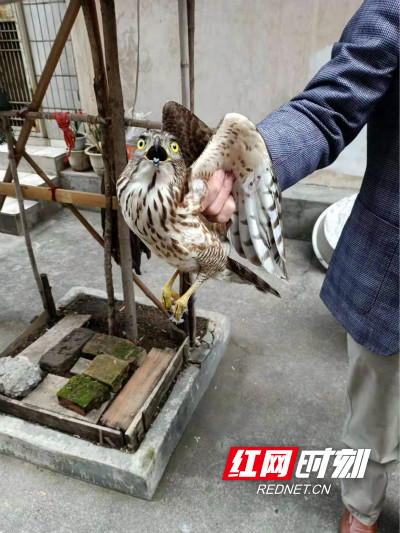 WechatIMG1434_meitu_1.jpg