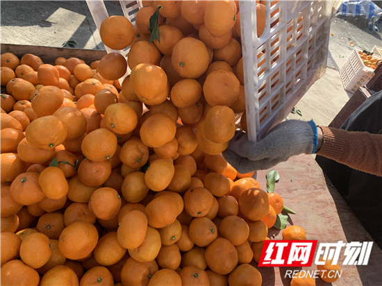 微信图片_20191212175934_副本.jpg
