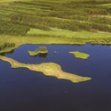 光明日报评高校教师性骚扰:打捞“沉默的声音”