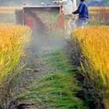 坚持和完善社会主义基本经济制度 不断解放和发展社会生产力