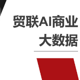 新的经济蓝海：贸联AI商业大数据中心