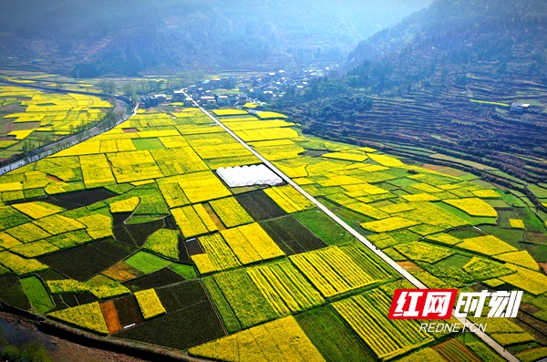 靛房镇地处湘西州龙山县城的东南隅,山清水秀,远离污染.图/彭梁心