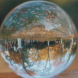 组图丨把长沙的秋色锁在水晶球里