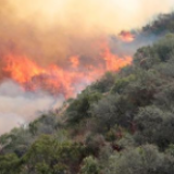 天干物燥季节供电公司全方位拉起防山火“警戒线”