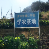 滁口镇：学农基地绿意浓