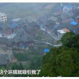 老外体验“直播”卖货：中国精准扶贫还能这么干