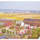 “2019中国改革年度案例”入围名单公布 长沙县榜上有名