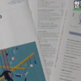 全球男女平等情况排名：北欧国家占前几名，日本跌至历史最低