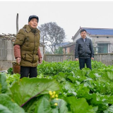 望城杨家山村147户贫困户甩掉“穷帽” 驻村帮扶干部是贴心人