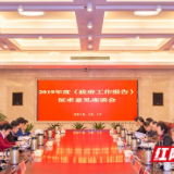 刘志仁主持召开2019年《政府工作报告》征求意见座谈会