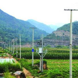 国网嘉禾县供电公司圆满完成新一轮农网改造工作