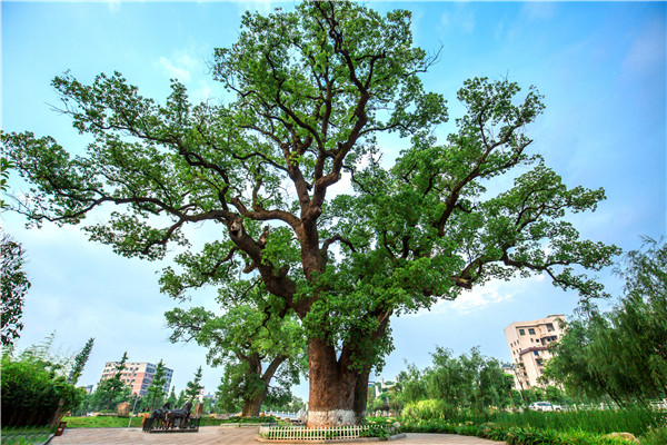 TU2A7834.jpg TU2A7834.jpg