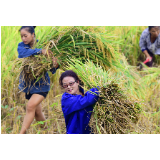 穿好“脚底鞋”练就“绣花功”