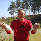 宜章谭春林：“银鳕鱼”养殖迈上致富路