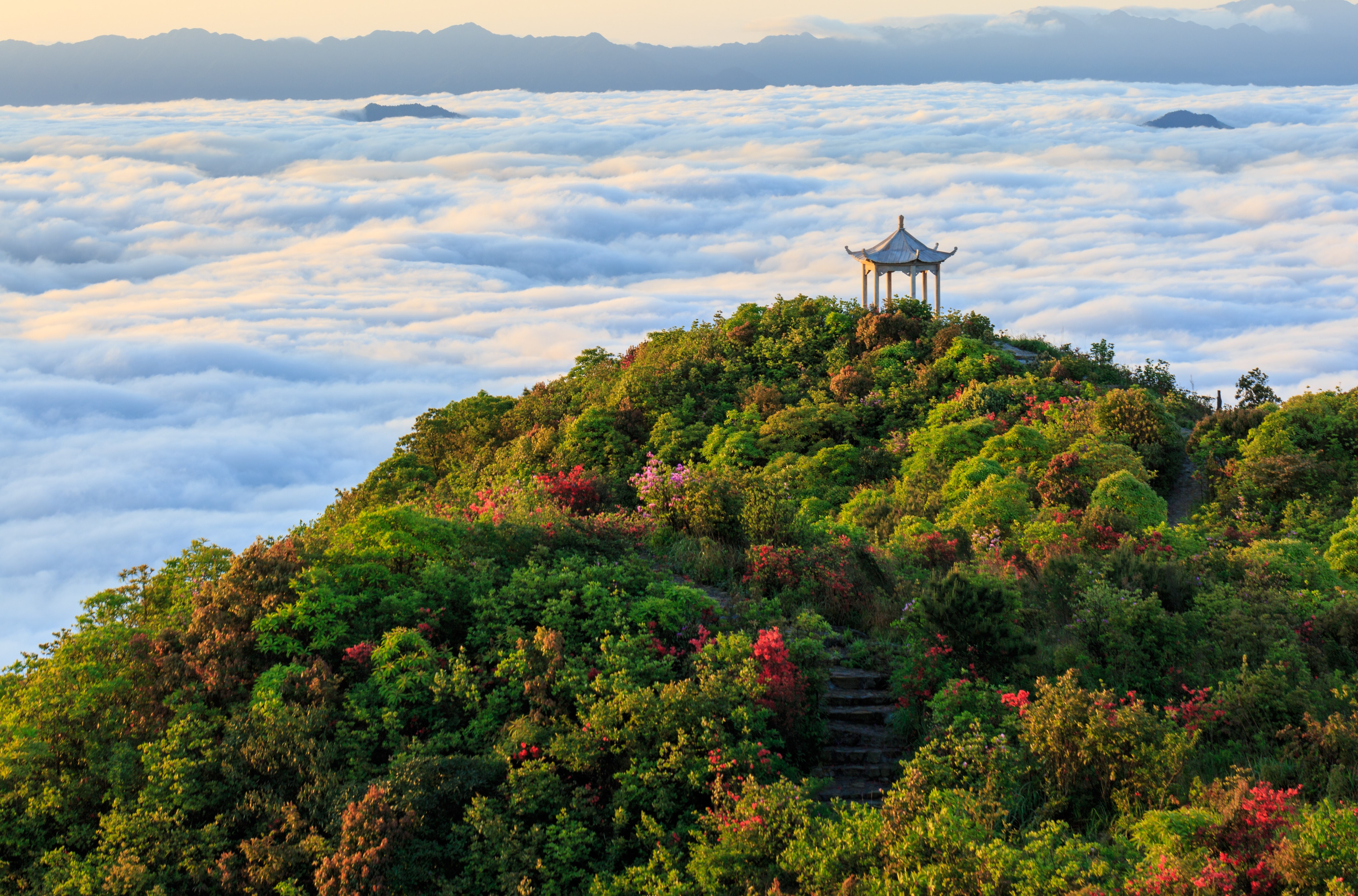 回龙山风光