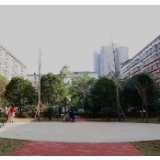 “六城同创”在行动丨冷水滩：小区荒地变身小游园 市民居住心情畅
