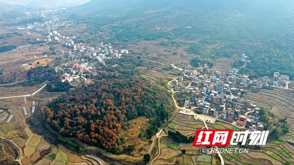 俯瞰永州新田县陶岭镇周家村.