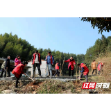 绥宁县东山乡:“党建+”加出群众美好生活