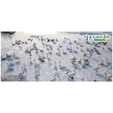【生态文明@湿地】新疆 江西：给越冬候鸟一个安全的家