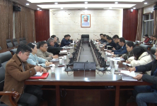 临澧：陈章杰点评县委办党支部专题组织生活会