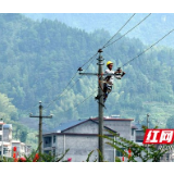 邵阳提前一年完成新一轮农网改造 农户脱贫致富有支撑