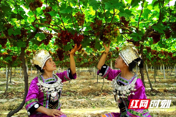 ?????????????_???.jpg ?????????????_???.jpg