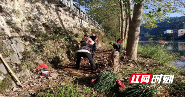 ????_20191219101045.png ????_20191219101045.png