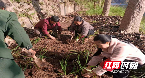 ????_20191219101139.png ????_20191219101139.png